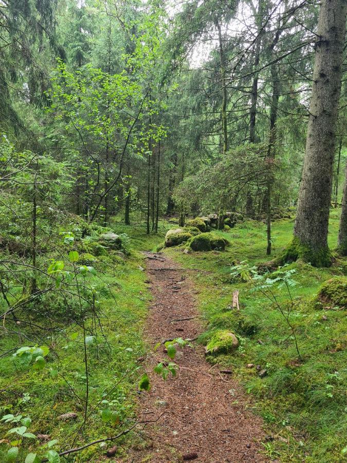 Stuga I Naturen Simlångsdalen Kültér fotó