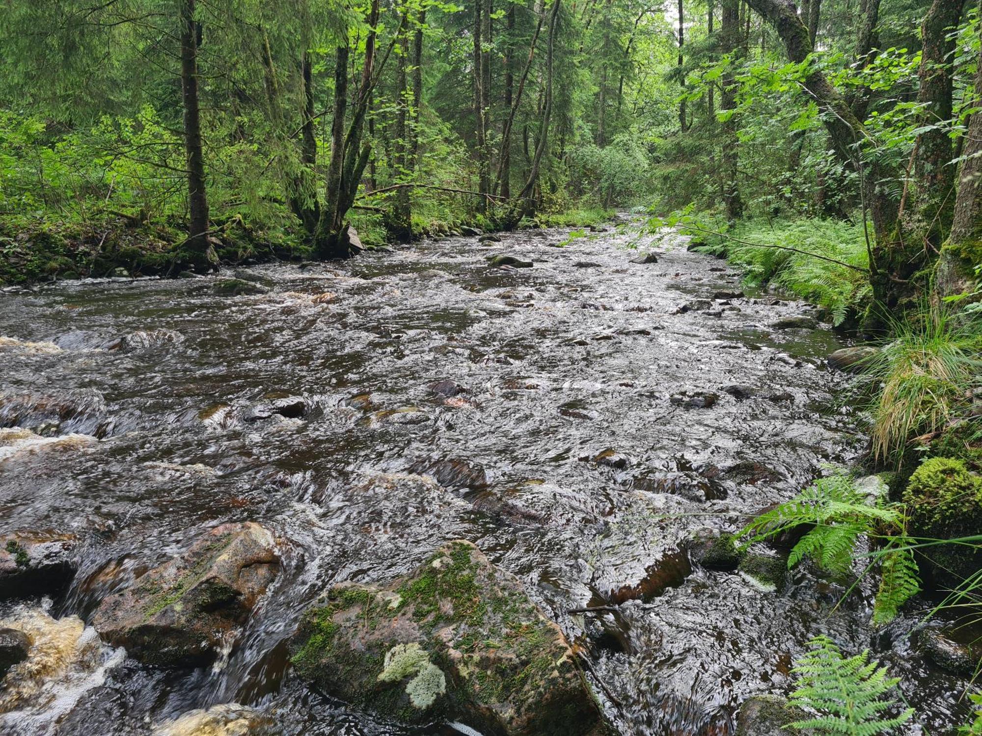 Stuga I Naturen Simlångsdalen Kültér fotó
