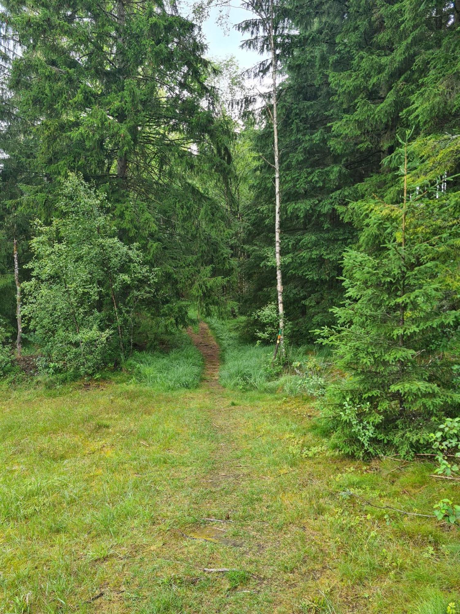 Stuga I Naturen Simlångsdalen Kültér fotó